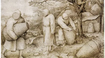 Geleneksel arıcılık gravürü