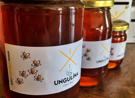 Ungulina Bal